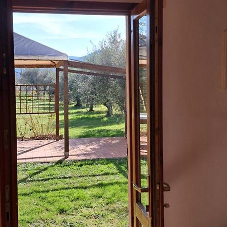Villetta 3 Km Dal Mare Castagneto Carducci Exterior foto