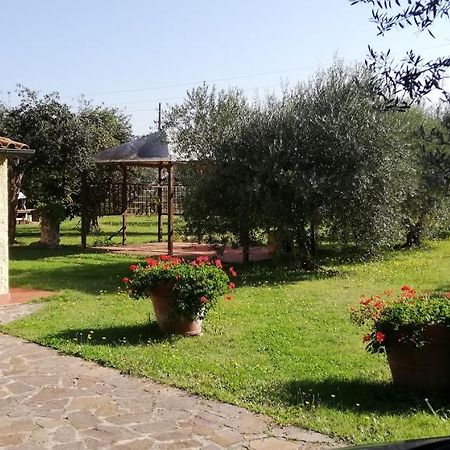 Villetta 3 Km Dal Mare Castagneto Carducci Exterior foto