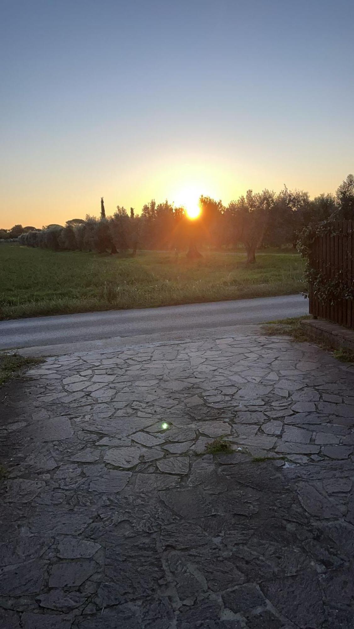 Villetta 3 Km Dal Mare Castagneto Carducci Zimmer foto