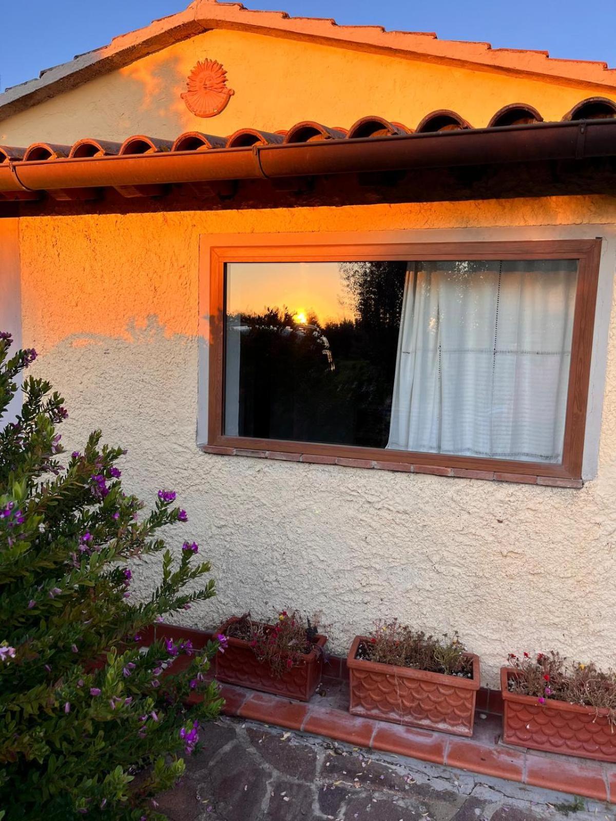 Villetta 3 Km Dal Mare Castagneto Carducci Exterior foto