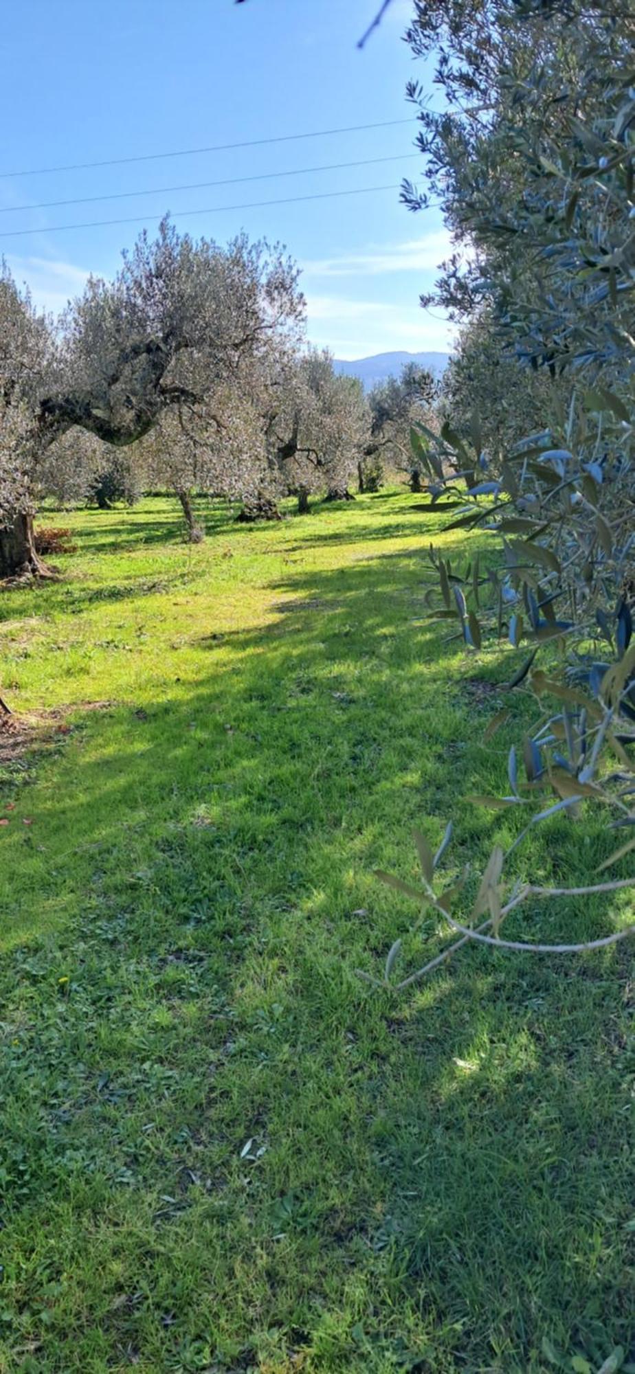 Villetta 3 Km Dal Mare Castagneto Carducci Exterior foto