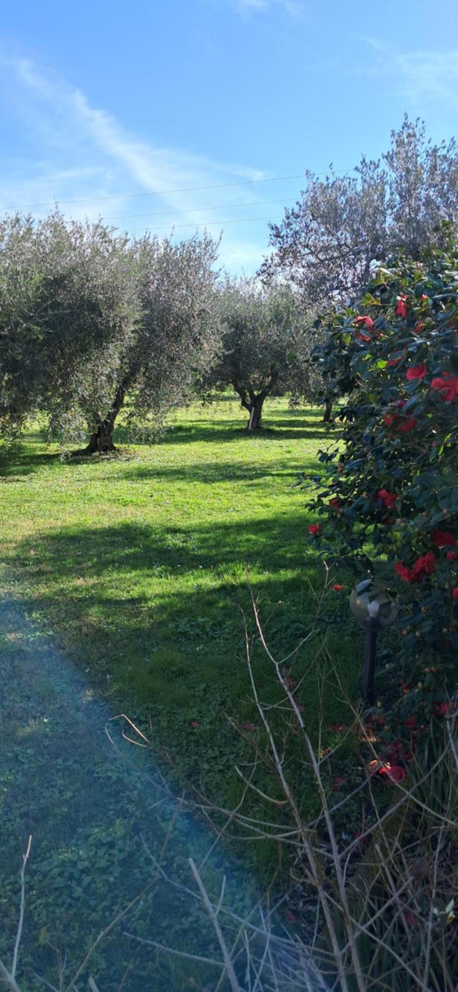 Villetta 3 Km Dal Mare Castagneto Carducci Exterior foto