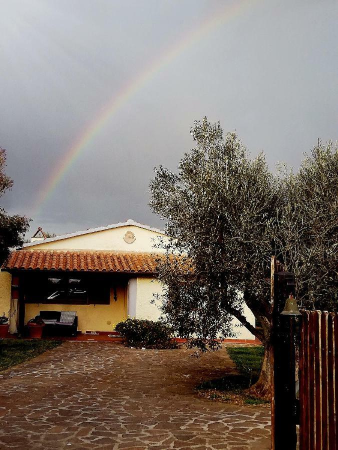 Villetta 3 Km Dal Mare Castagneto Carducci Exterior foto