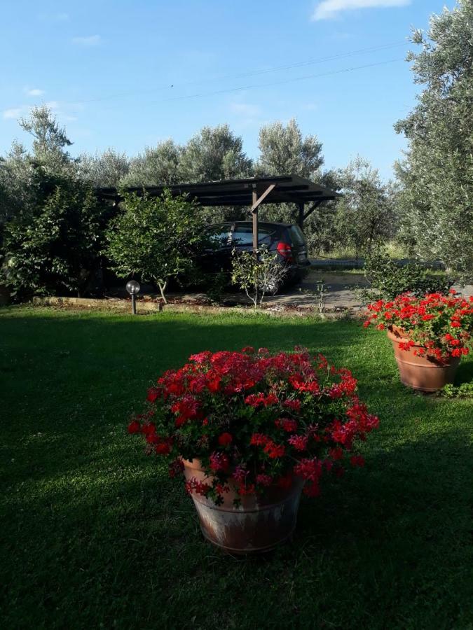 Villetta 3 Km Dal Mare Castagneto Carducci Exterior foto