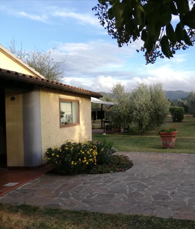 Villetta 3 Km Dal Mare Castagneto Carducci Exterior foto