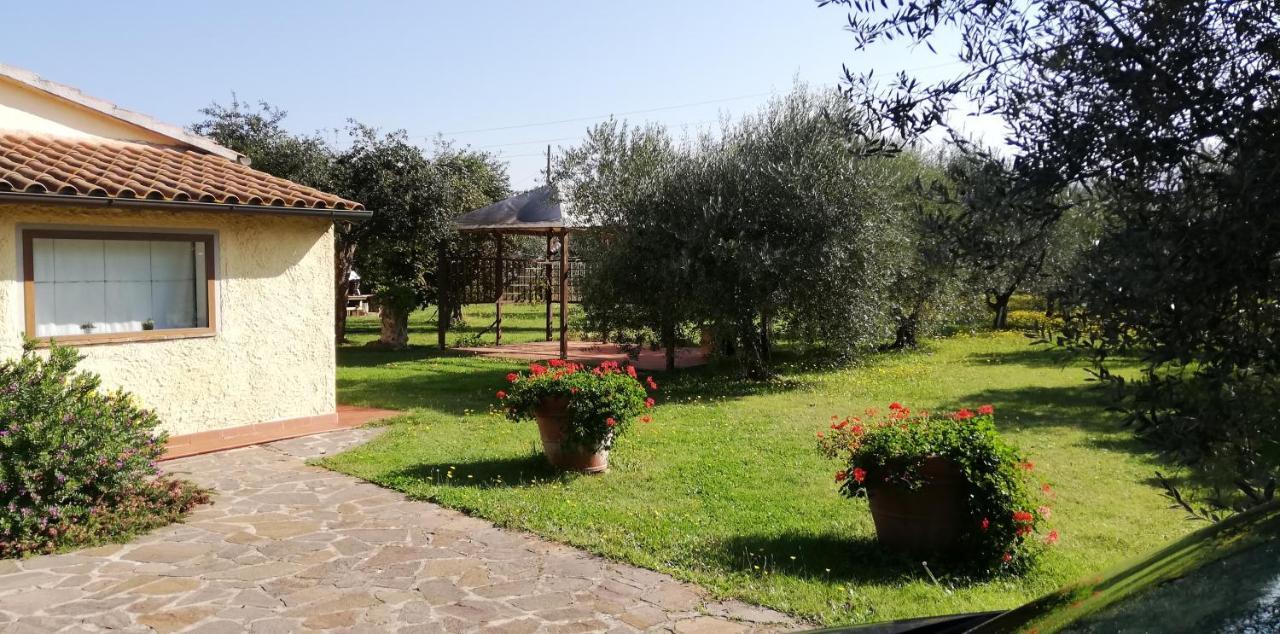 Villetta 3 Km Dal Mare Castagneto Carducci Exterior foto